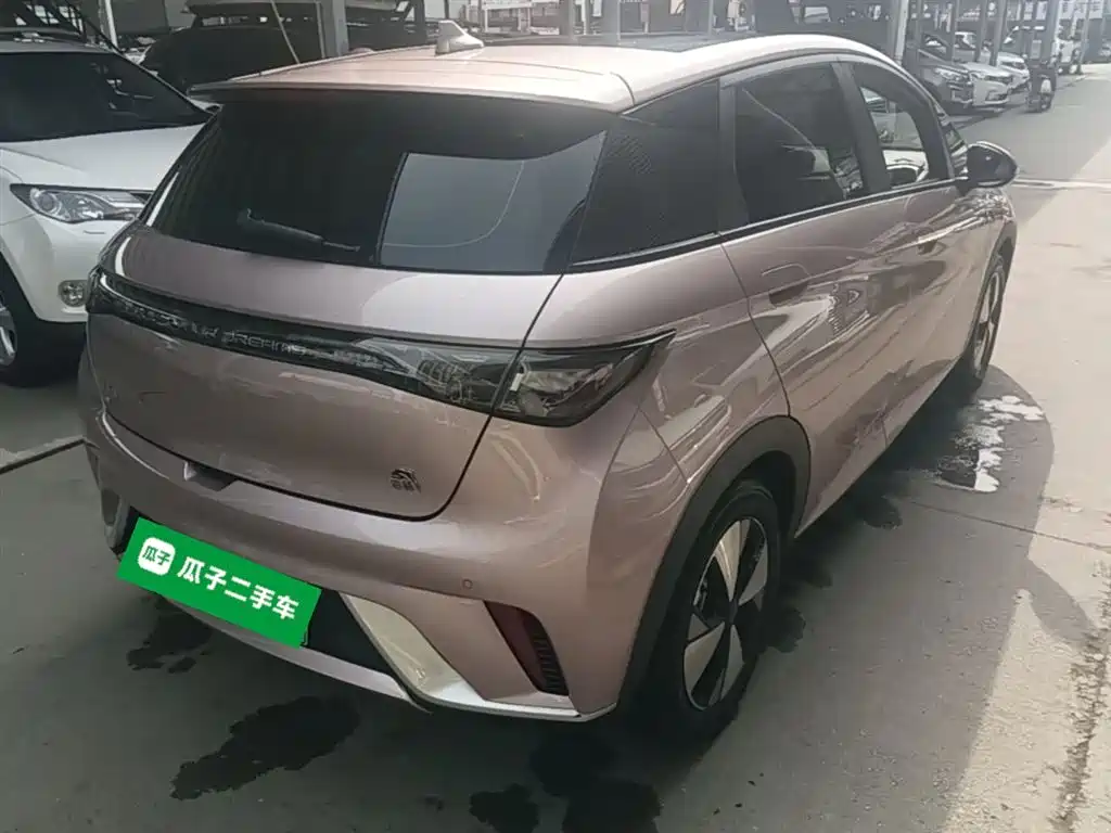 BYD Dolphin 2023 420km Fashion Edition фото 7