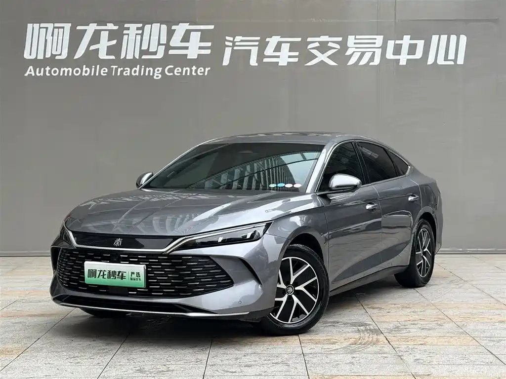 BYD QIN L