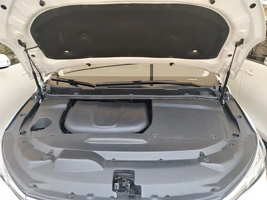BYD Song MAX 2018 1.5T Auto Smart Connected Elite 6-Seater фото 20