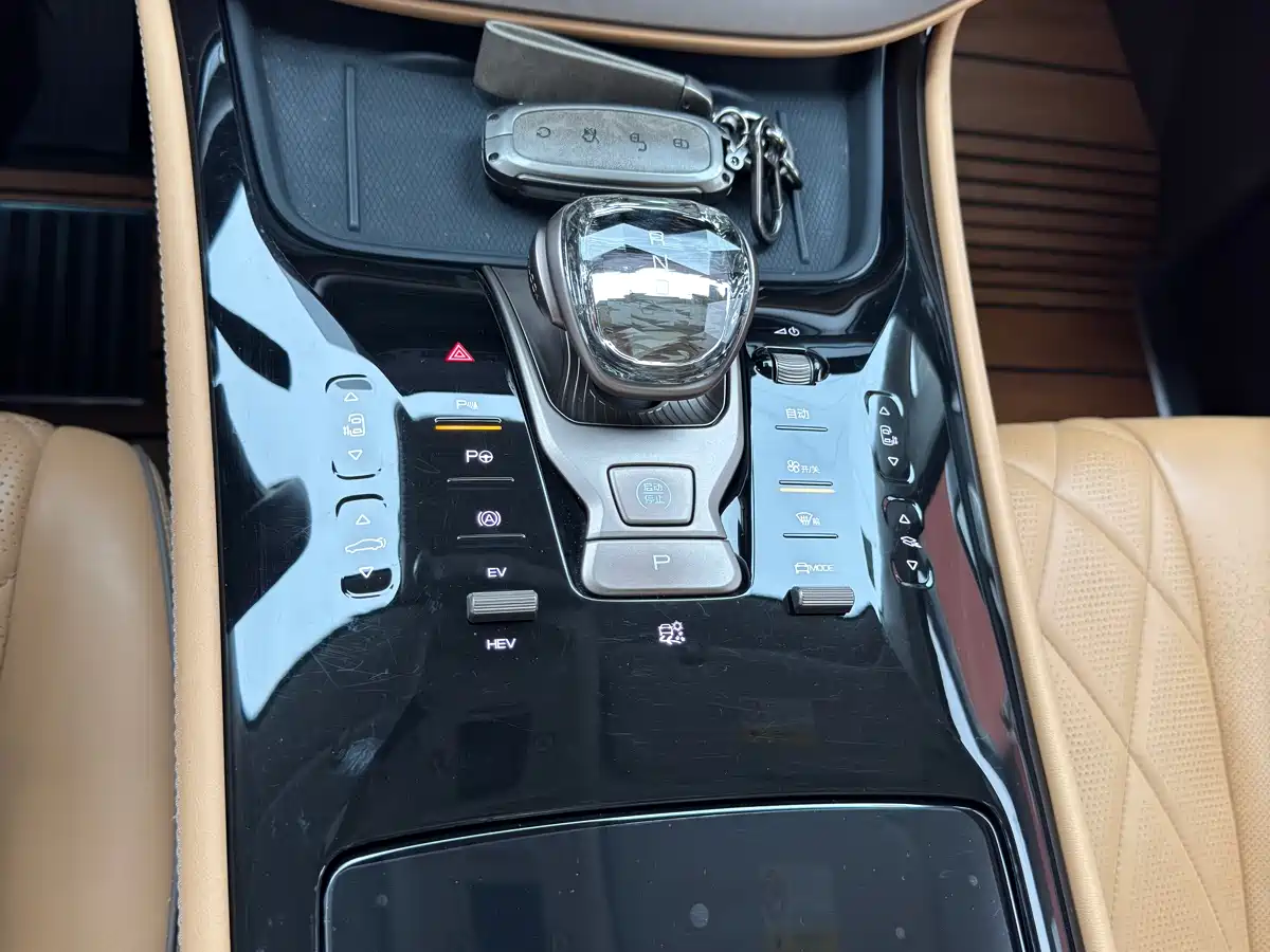 Denza D9 2022 DM-i 970 AWD Flagship фото 28