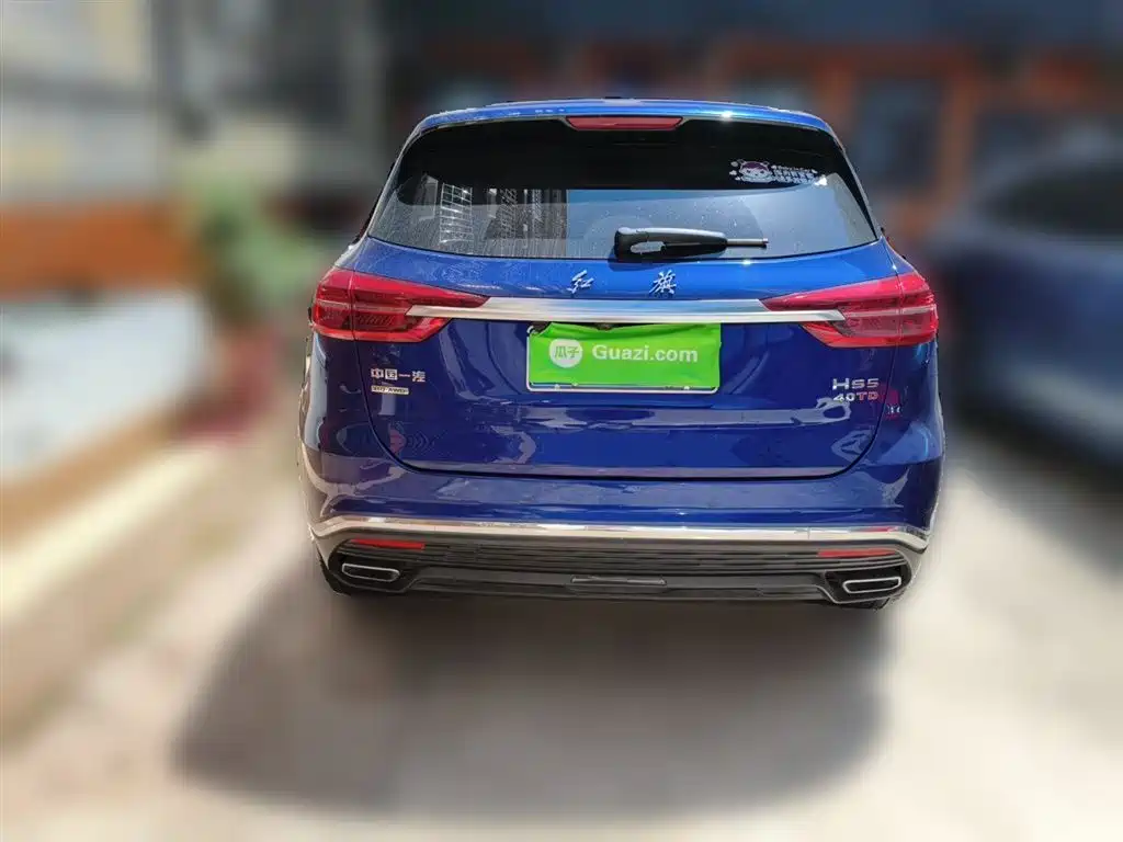 Hongqi HS5 2019 2.0T Smart Connect Enjoy 4WD Edition фото 4