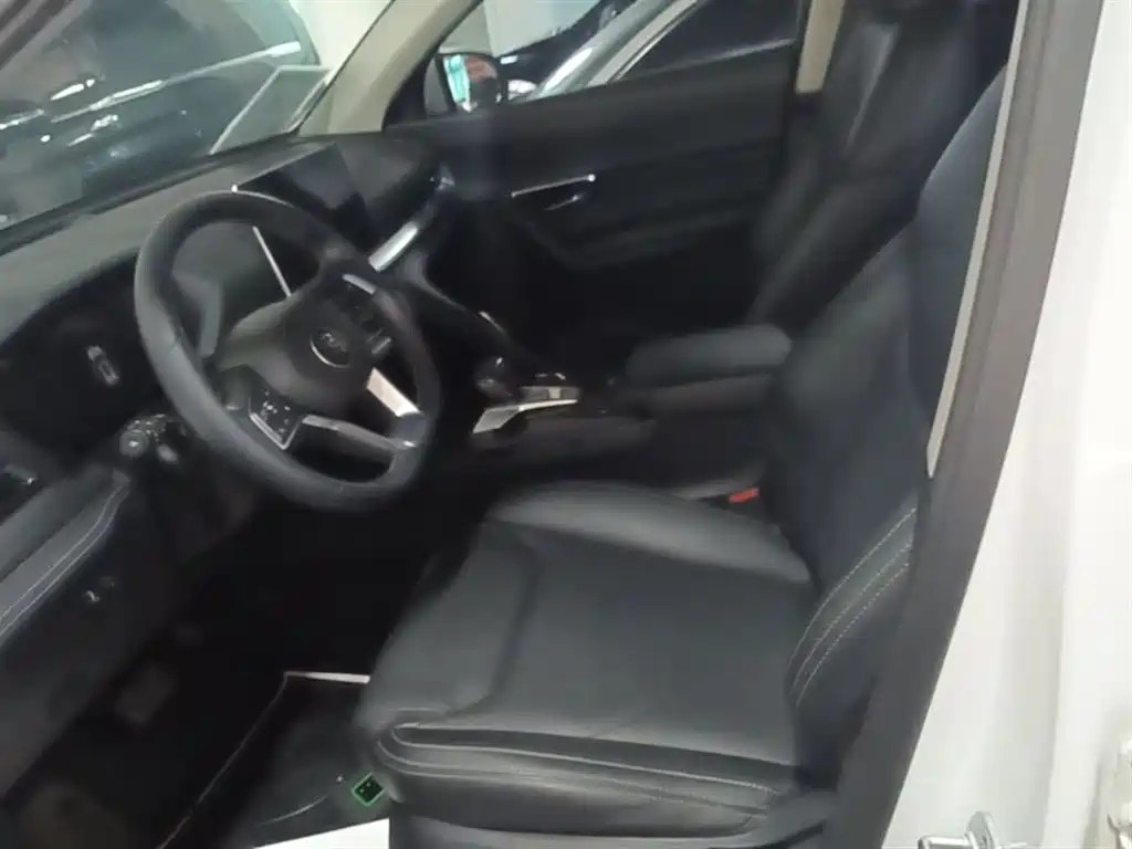 BYD Song Pro 2019 1.5T Automatic Premium фото 15