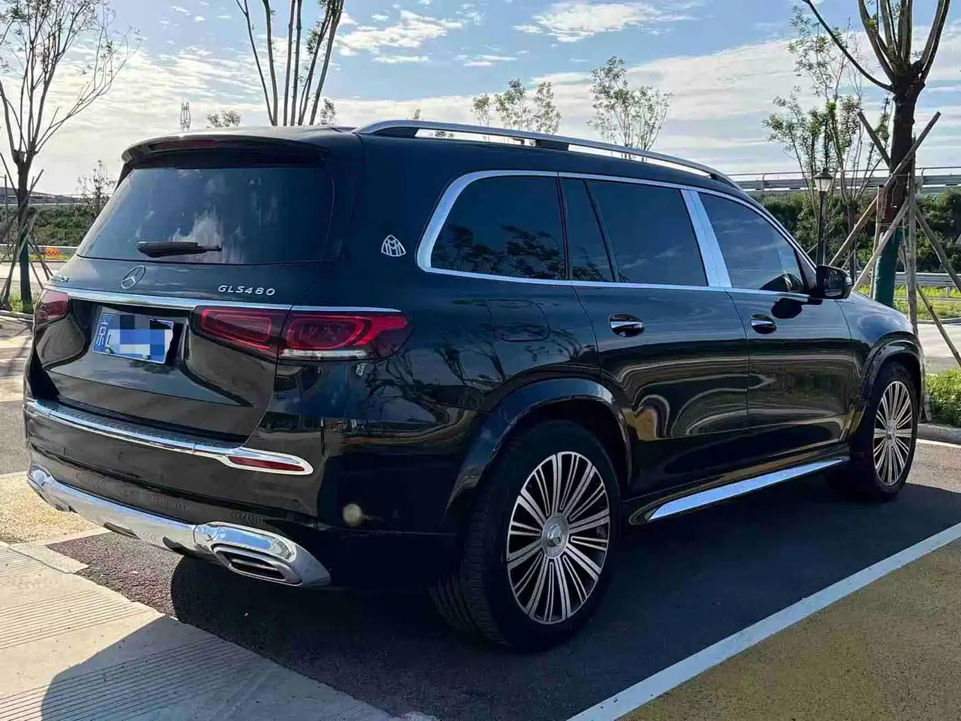 Mercedes-Benz Maybach GLS 2021 GLS 480 4MATIC фото 9