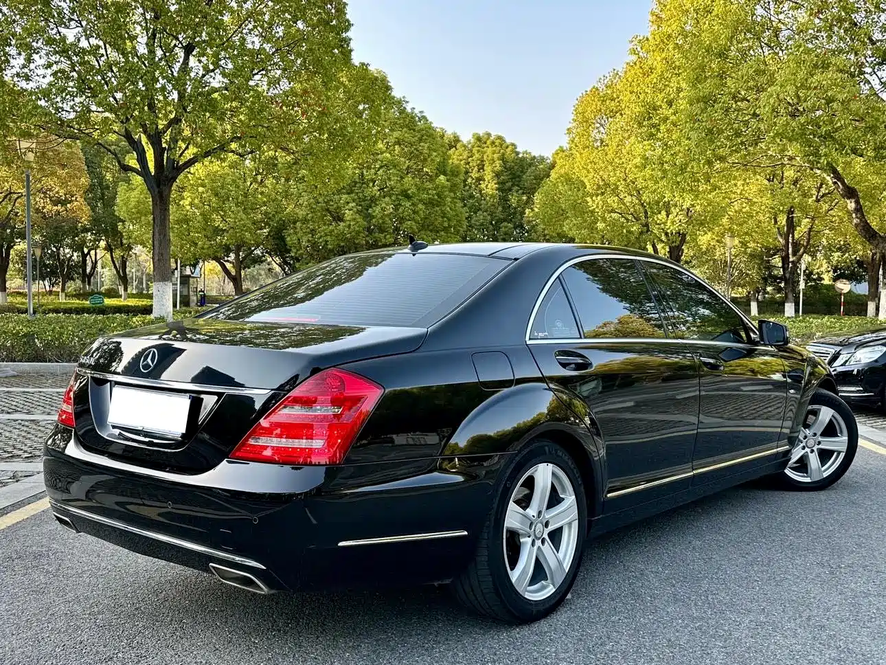 Mercedes-Benz S-Class 2012 S 300 L Luxury Grand Edition фото 23