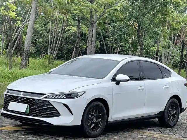 BYD Qin PLUS 2025 DM-i Smart Drive 55KM Leader — фото 2