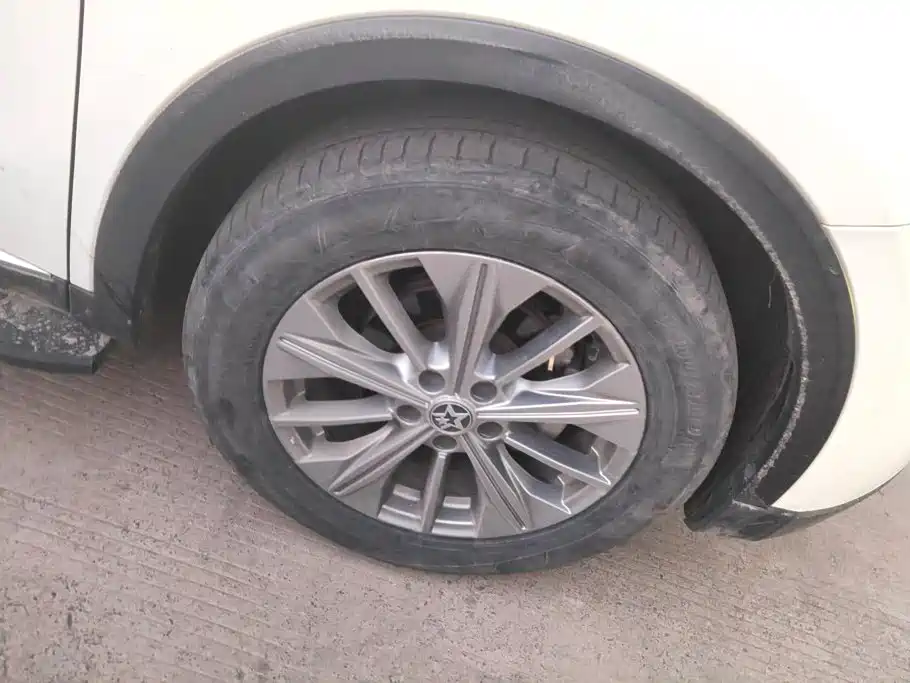 Venucia Star 2020 2020 260T Automatic 48V Mild Hybrid Turbo Star Enjoy Edition