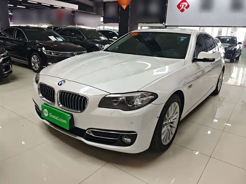 BMW 5 Series 2014 525Li Luxury Design Package фото 2