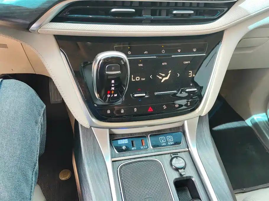Buick GL8 2020 Model ES Landglory 653T Premium фото 16