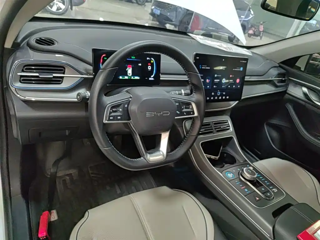 BYD Destroyer 05 2024 Glory Edition DM-i 55KM Luxury фото 10