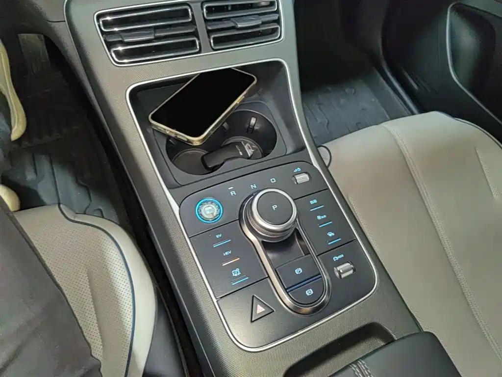 BYD Destroyer 05 2024 Glory Edition DM-i 55KM Luxury фото 14