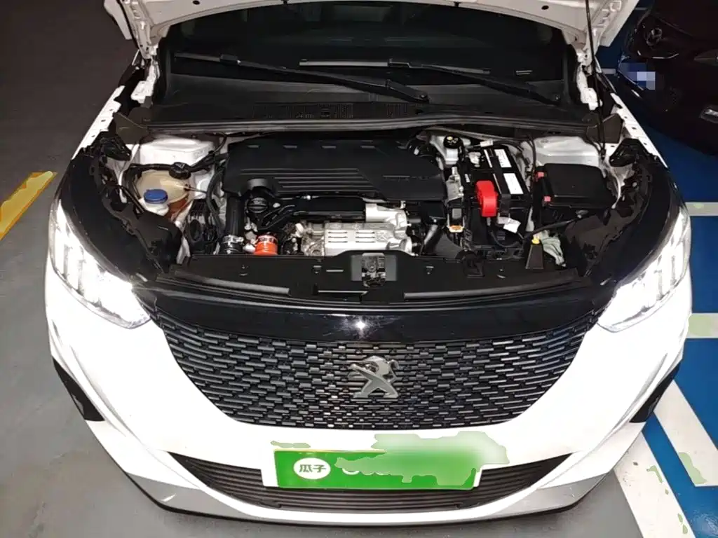 Фото 20 - Peugeot 2008