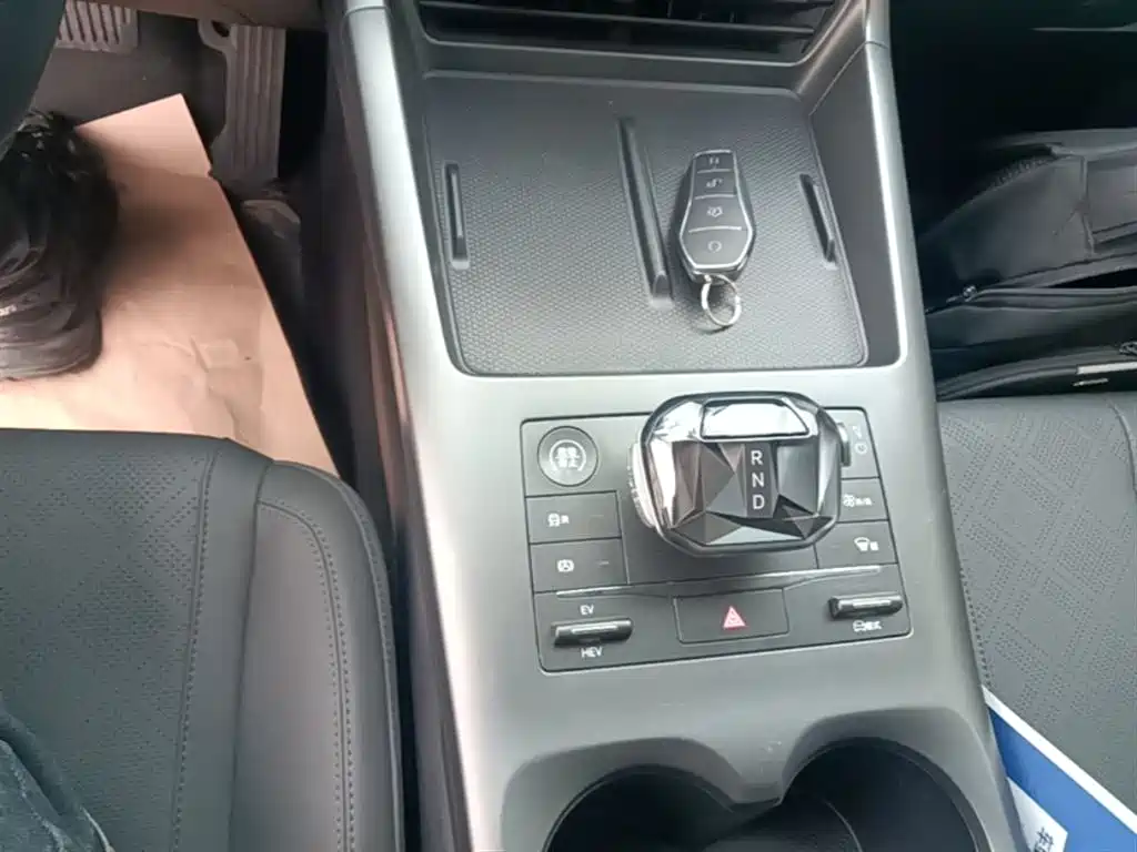 BYD Qin PLUS 2025 DM-i Smart Drive 55KM Leader фото 14