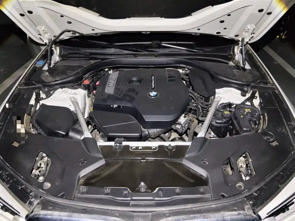 BMW 5 Series 2020 530Li Leading M Sport Package фото 11