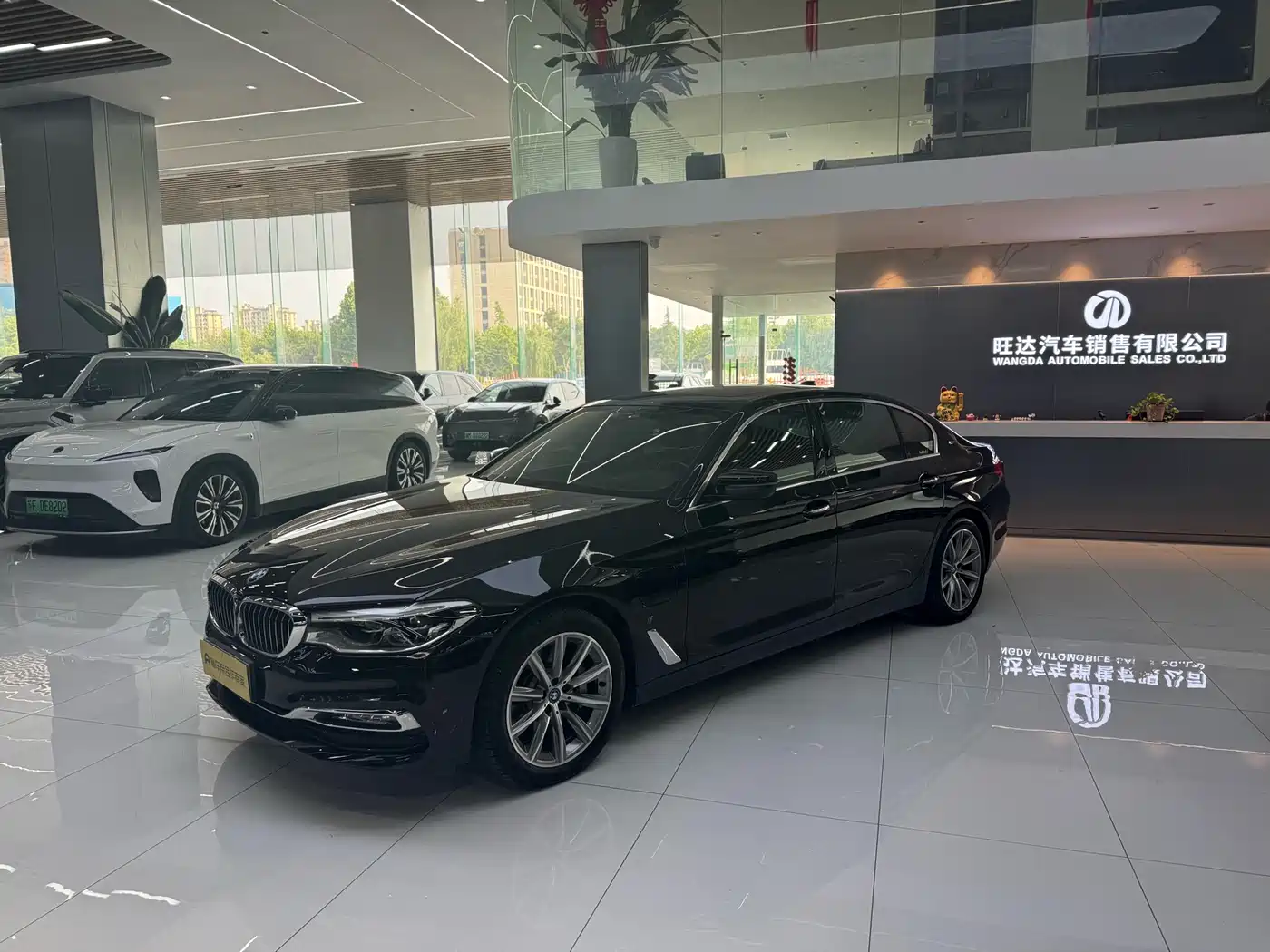 BMW 5 Series New Energy 2019 530Le Luxury Package