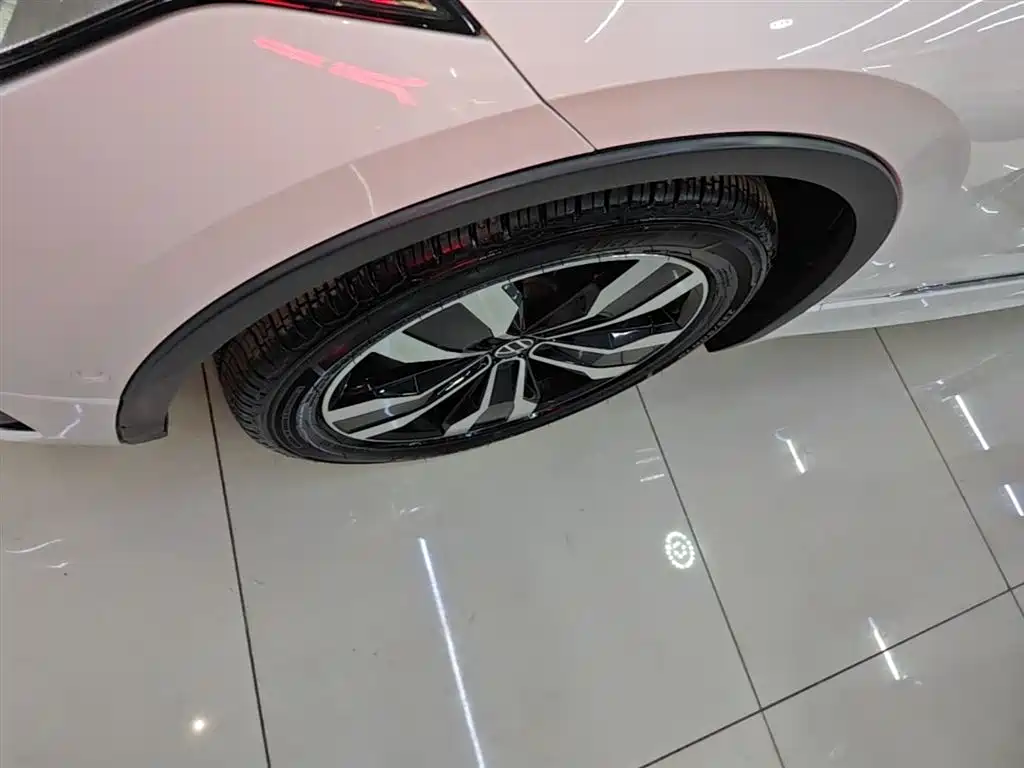 Volkswagen Tiguan L 2023 330TSI Auto 2WD R-Line Premium Edition фото 23