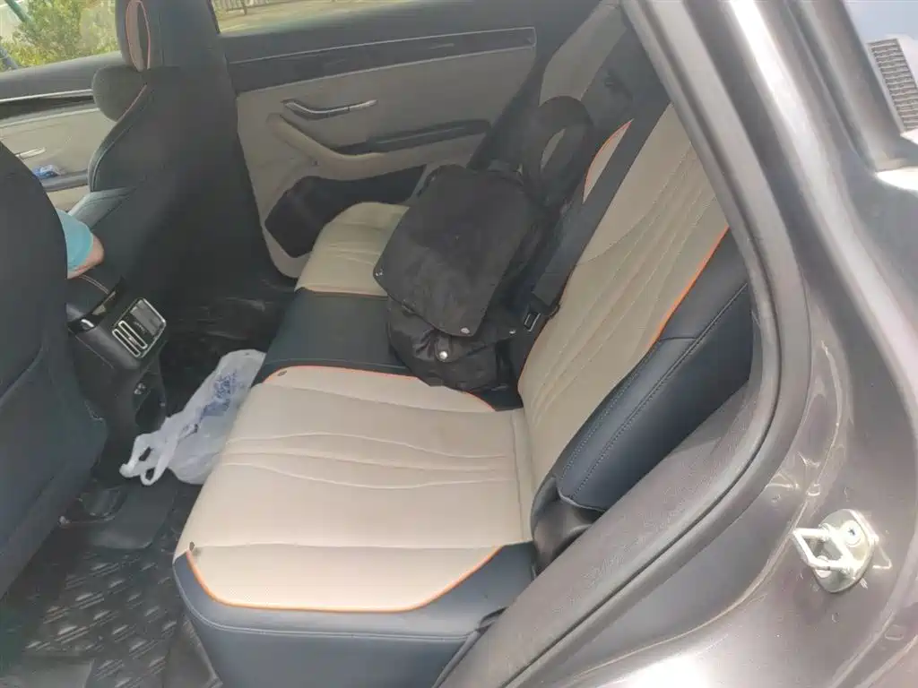 BYD Song PLUS PHEV 2021 EV Flagship фото 15