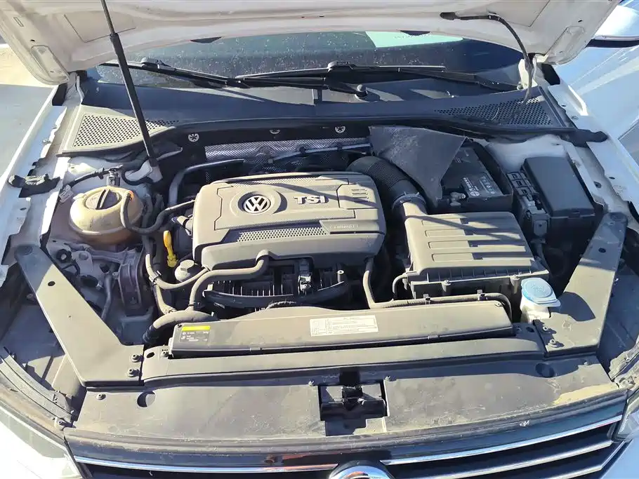 Volkswagen Magotan 2017 330TSI DSG Leading фото 10