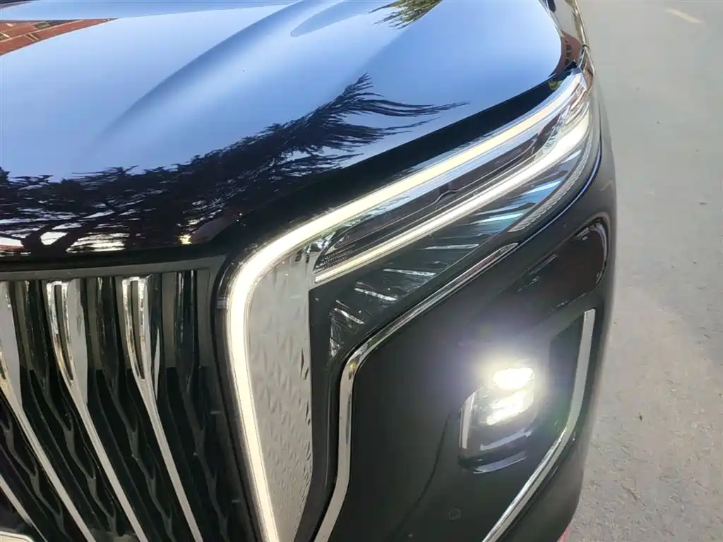 Hongqi HQ9 PHEV 2024 Model 2.0T AWD Luxury Edition фото 24