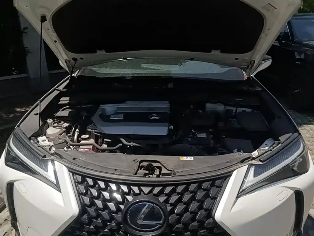 Lexus UX 2020 260h Explore Enjoy Edition фото 20