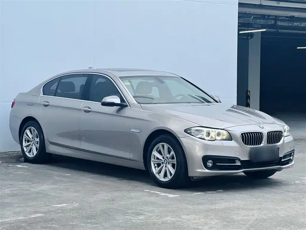 BMW 5 Series 2014 520Li Elegance фото 19