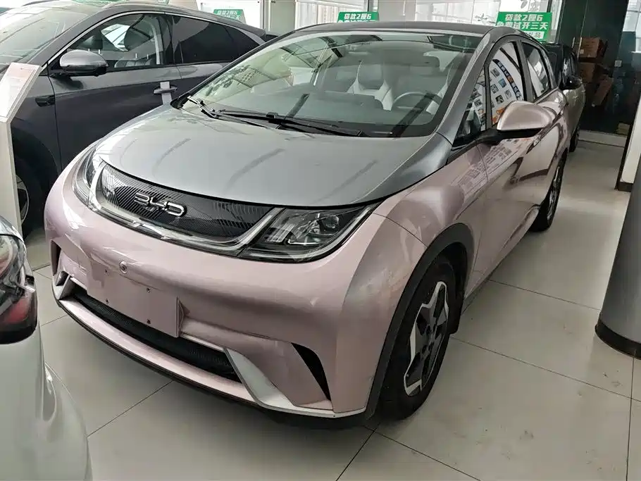 BYD Dolphin 2021 Model 405km Fashion Edition