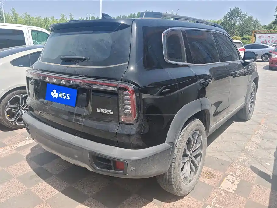 Haval Big Dog 2024 1.5T DCT Border Collie Edition фото 3