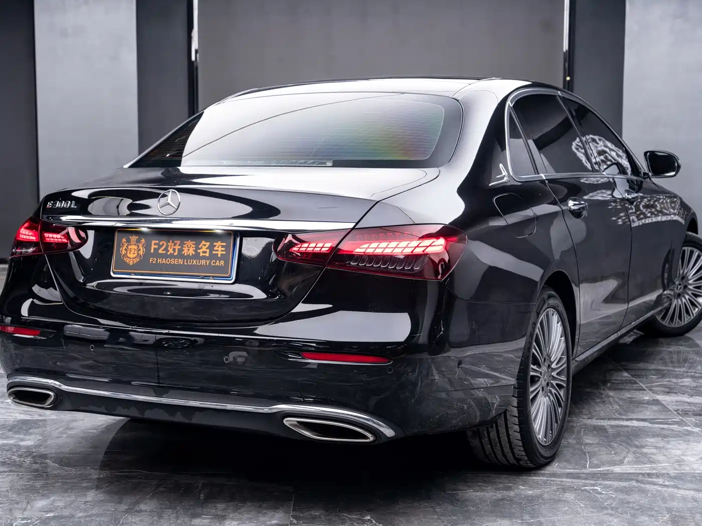 Mercedes-Benz E-Class 2023 E 300 L Luxury фото 10