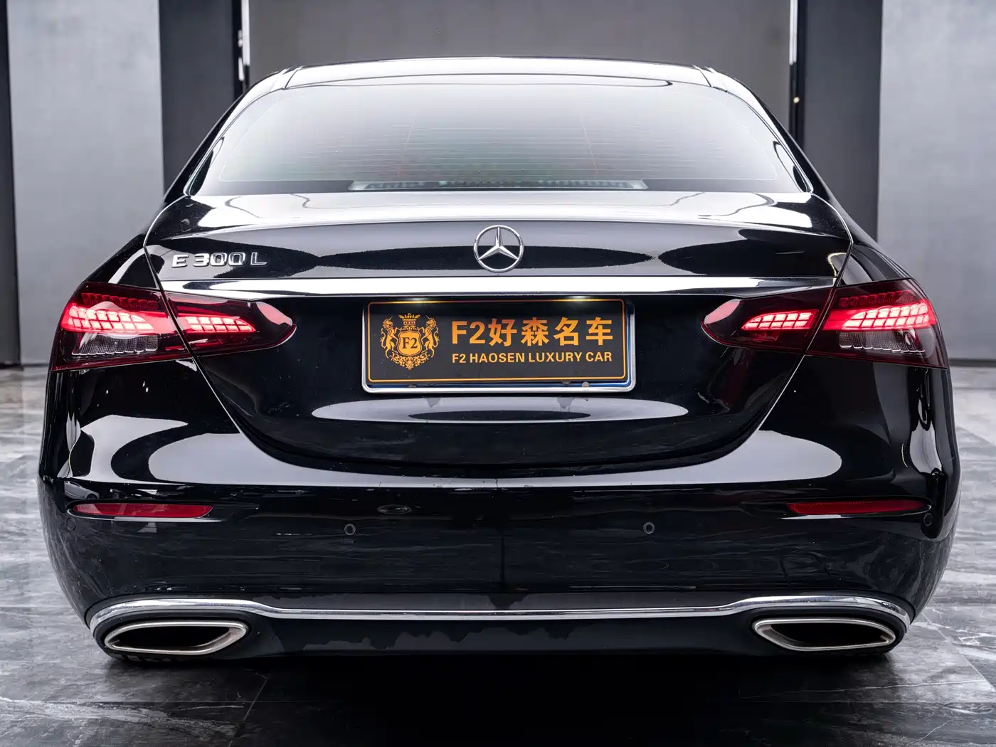 Mercedes-Benz E-Class 2023 E 300 L Luxury фото 12