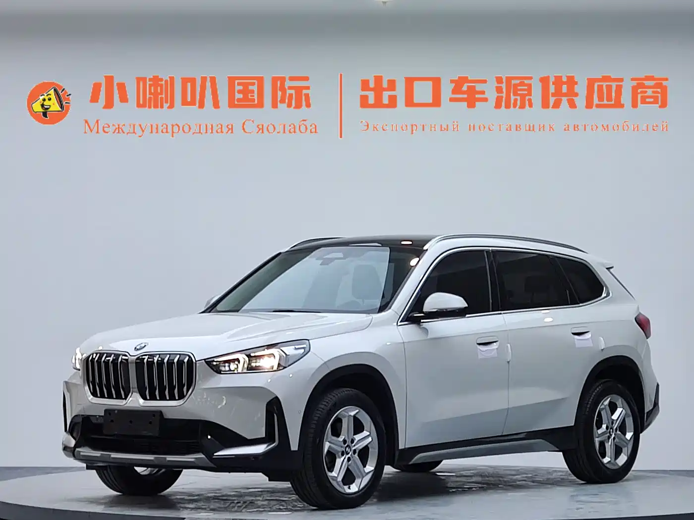 BMW X1 2023 sDrive20Li X Design Package