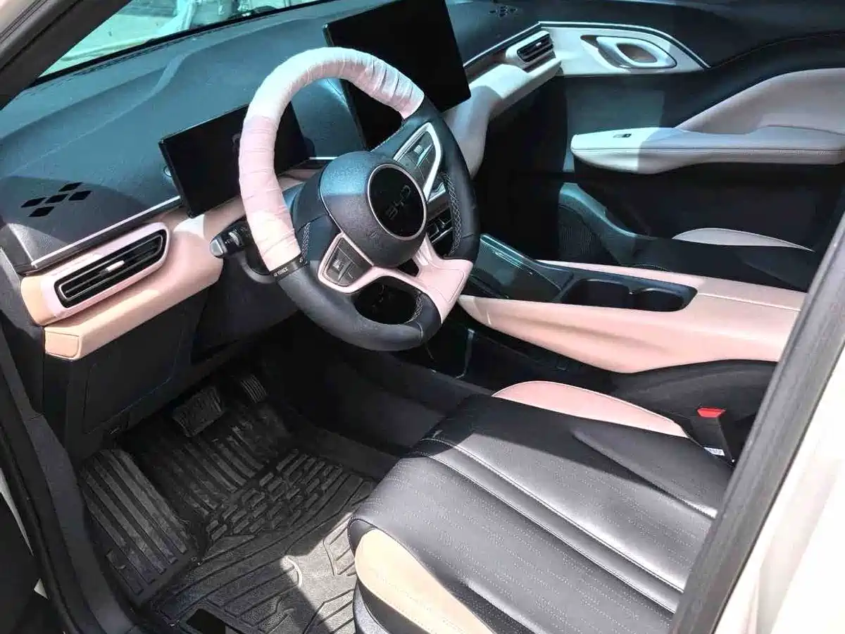 BYD Seagull 2025 Smart Drive Edition 305km Freedom Version фото 4