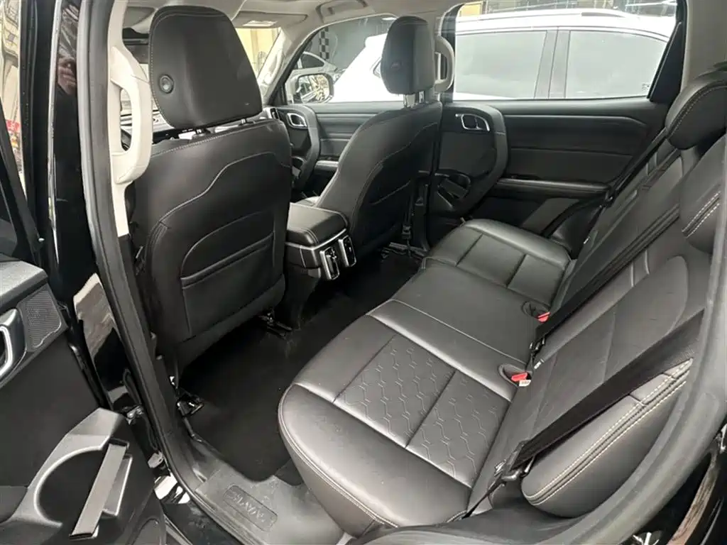 Haval Big Dog 2024 2.0T DCT Chinese Rural Dog Edition фото 10