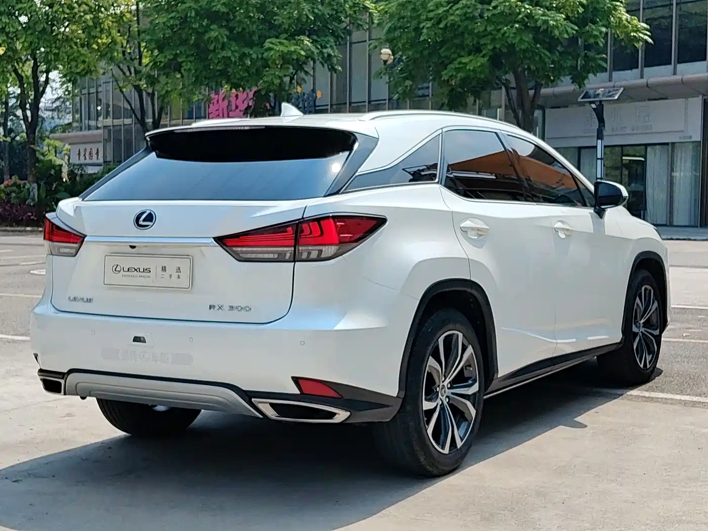 Lexus RX 2020 300 4WD Elegance Edition China VI фото 6