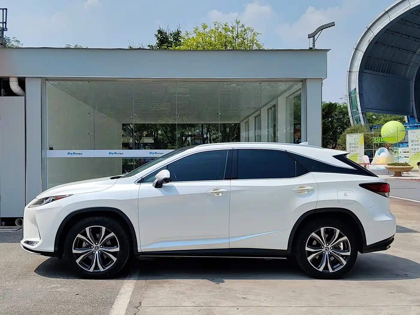 Lexus RX 2020 300 4WD Elegance Edition China VI фото 4