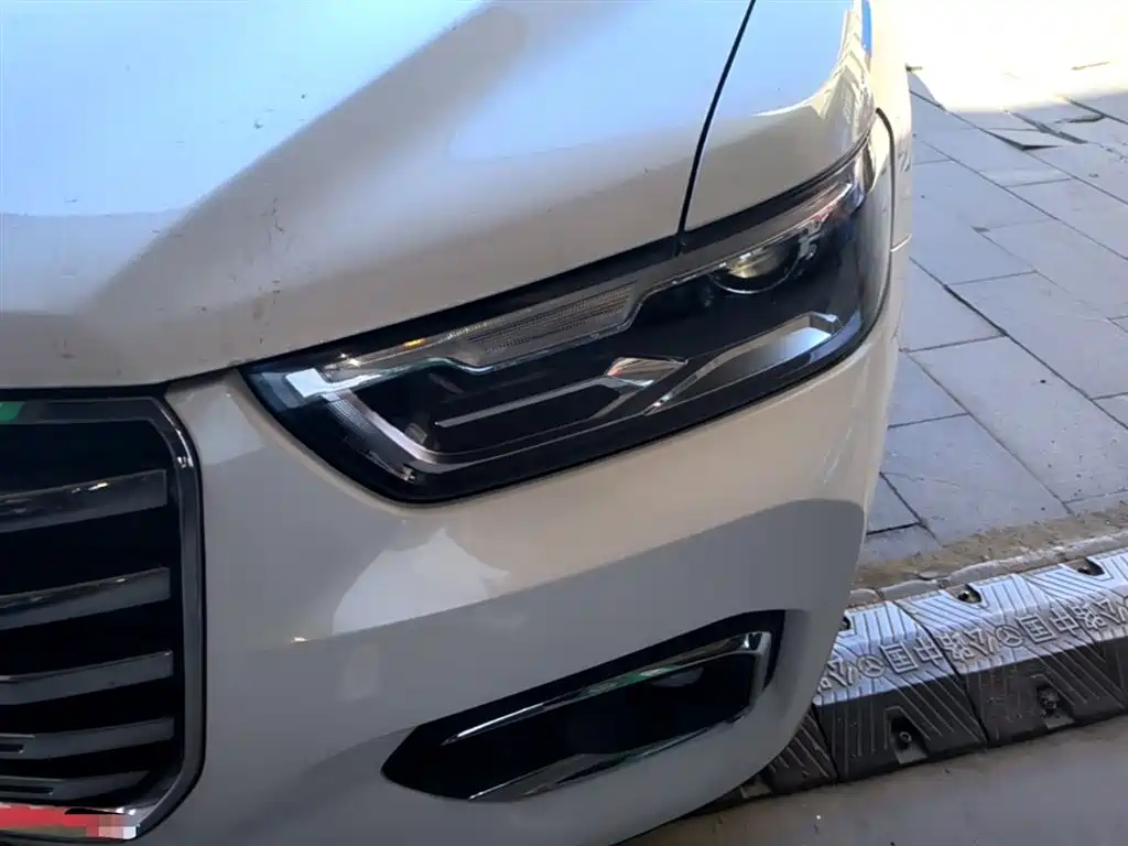 Haval H6 2020 1.5GDIT Automatic Platinum Champion Edition фото 24