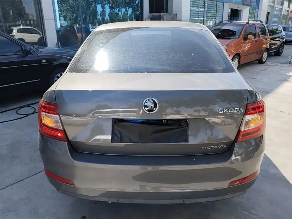 Škoda Octavia 2015 1.6L Automatic逸杰版 фото 6