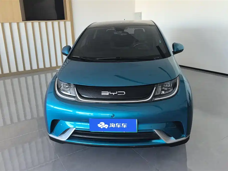 BYD Dolphin 2021 Model 405km Fashion Edition фото 2