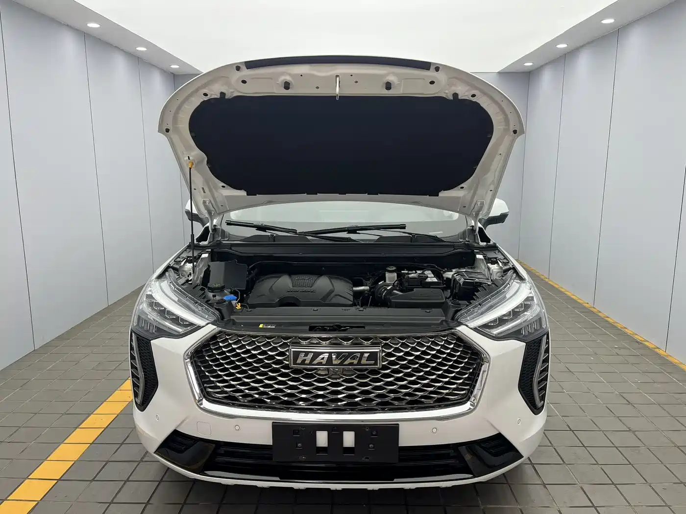 Haval First Love 2021 1.5T Automatic Premium Edition фото 19