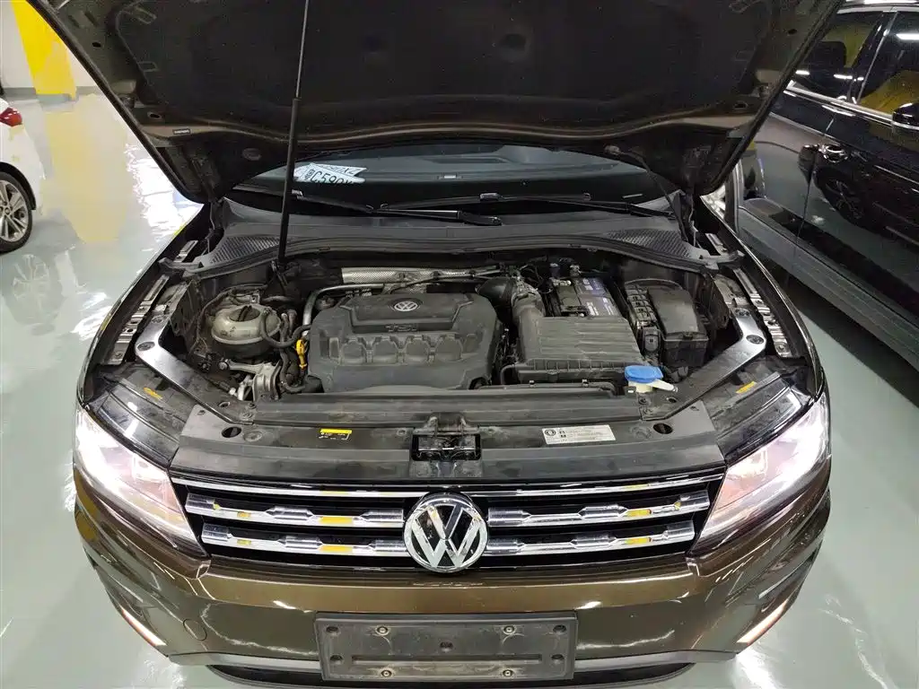 Volkswagen Tiguan L 2019 330TSI Automatic 2WD Panorama Comfort Edition China VI фото 20
