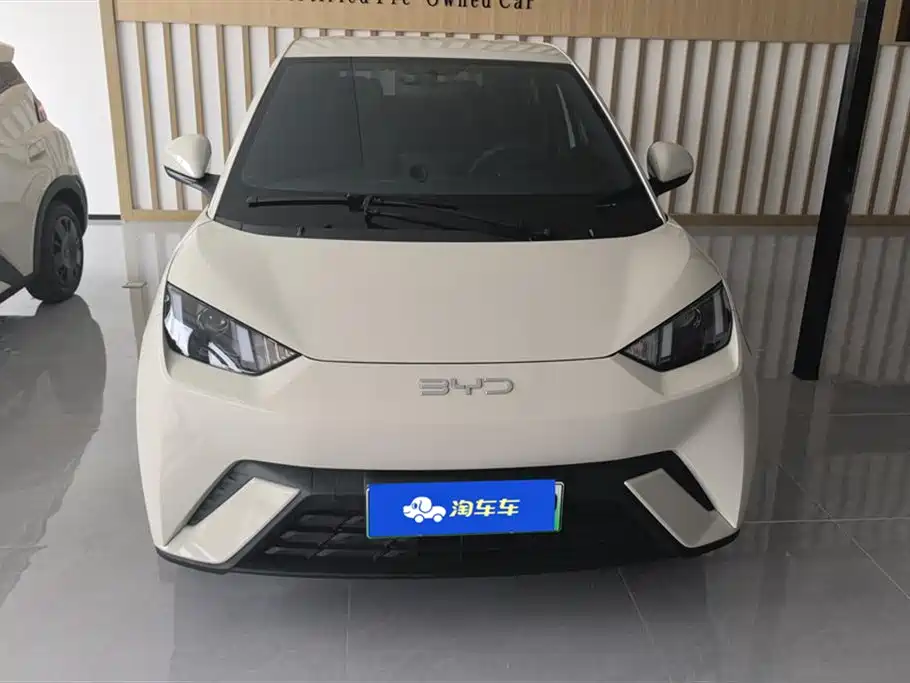 BYD Seagull 2024 Glory Edition 305km Vitality Edition фото 2