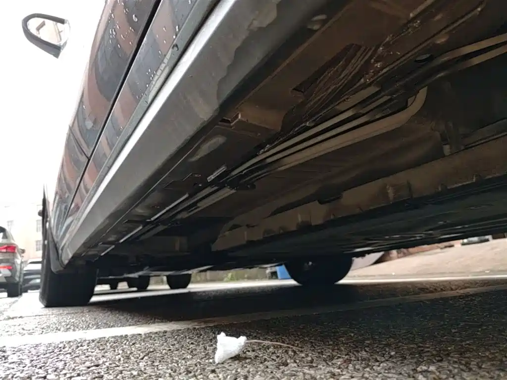 BYD Destroyer 05 2024 Glory Edition DM-i 55KM Luxury фото 22