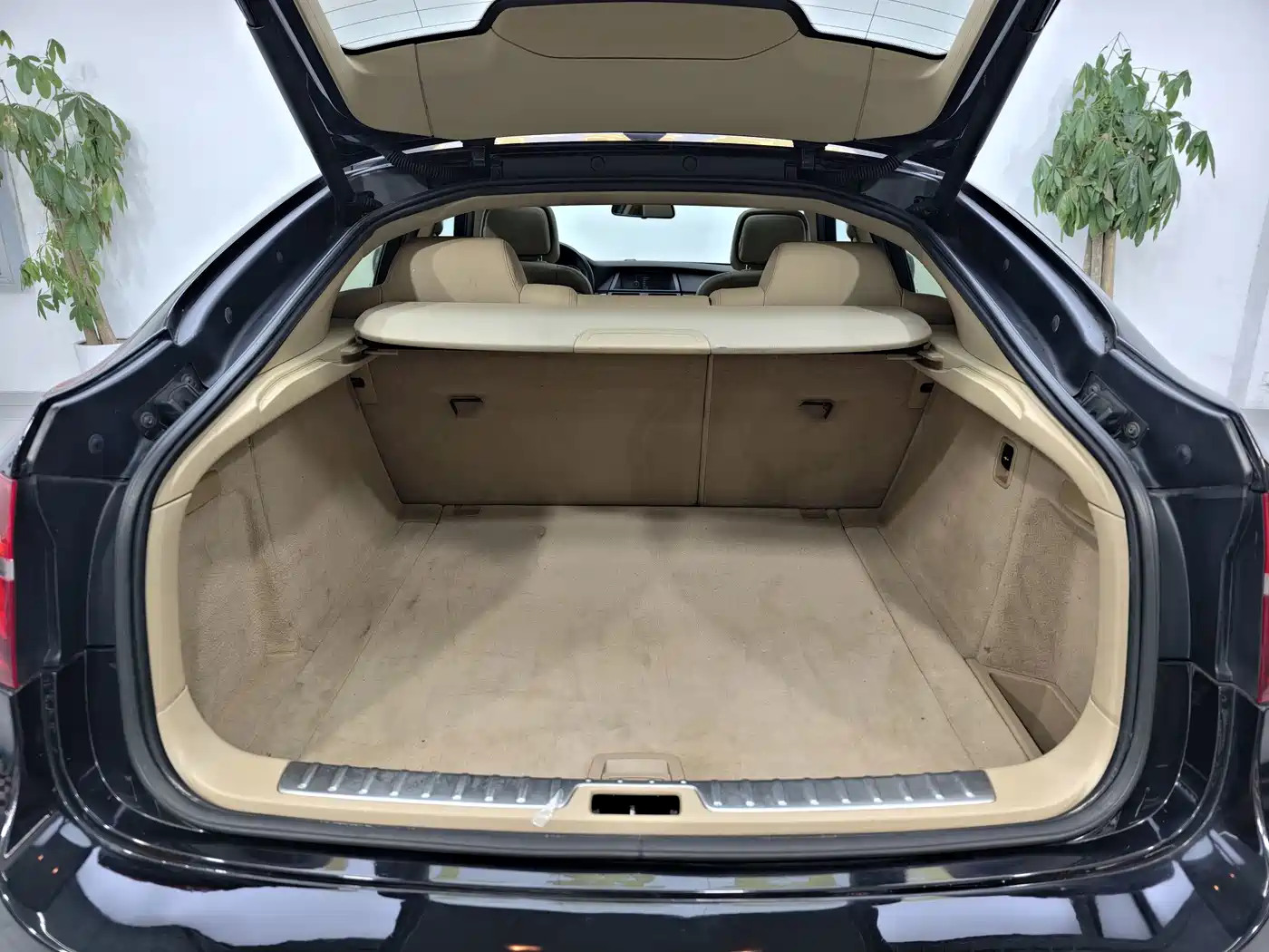 Photo 37 - BMW X6