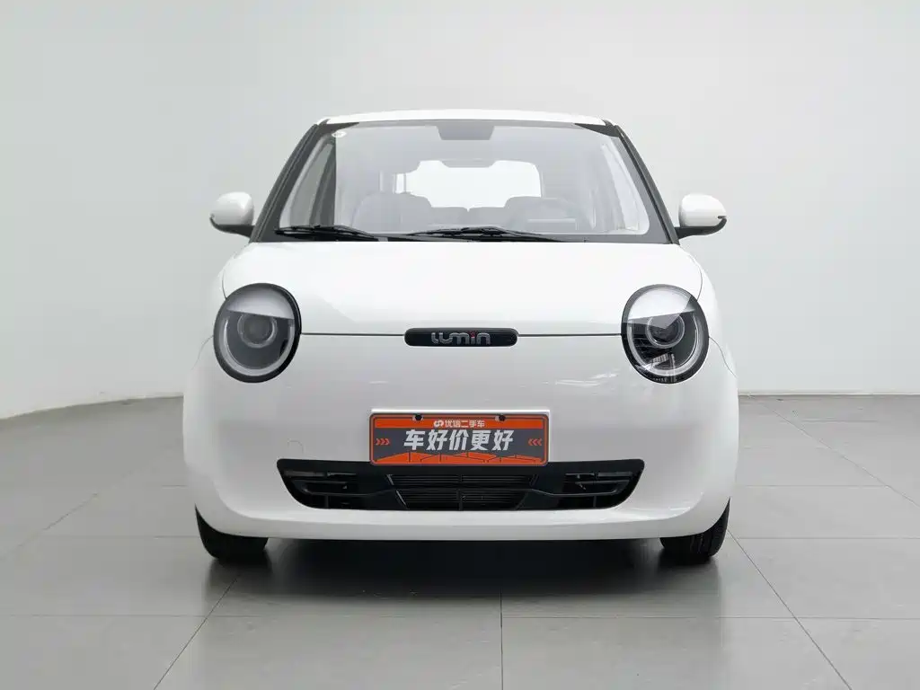 Changan Qiyuan Changan Lumin 2022 2022 210km Sweet Edition