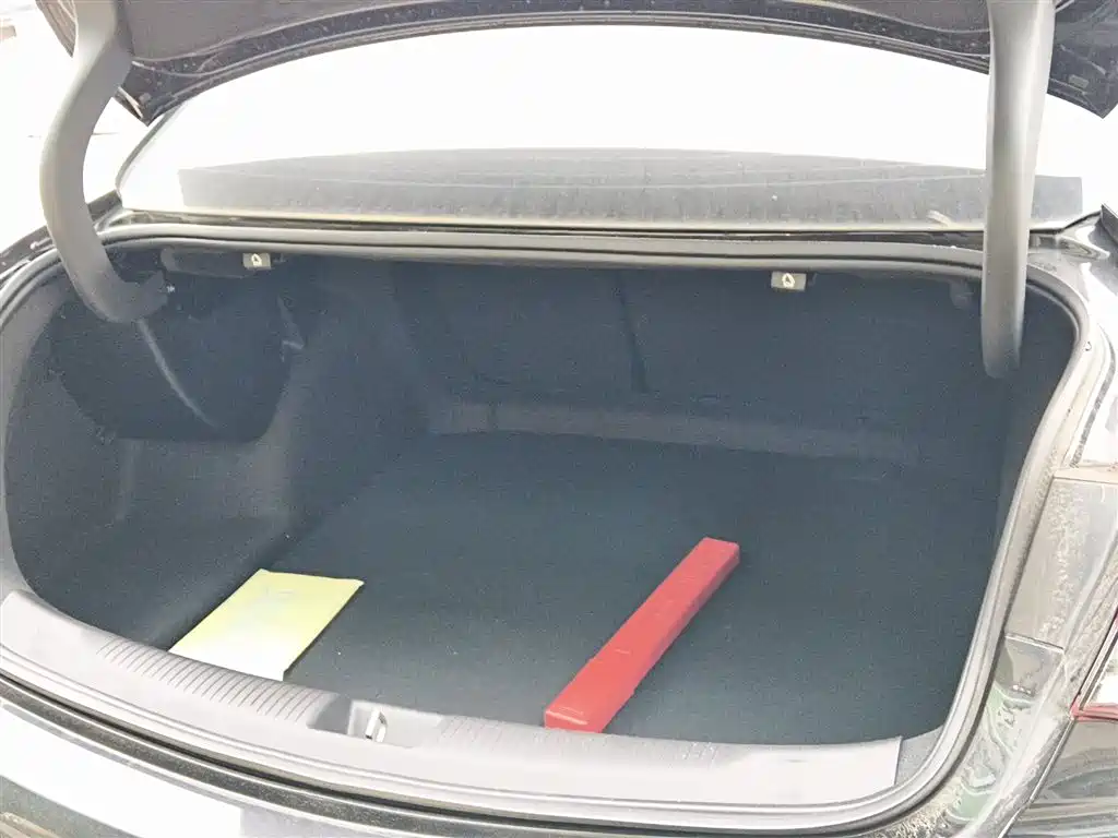 Buick Regal 2025 Model Base Type фото 15