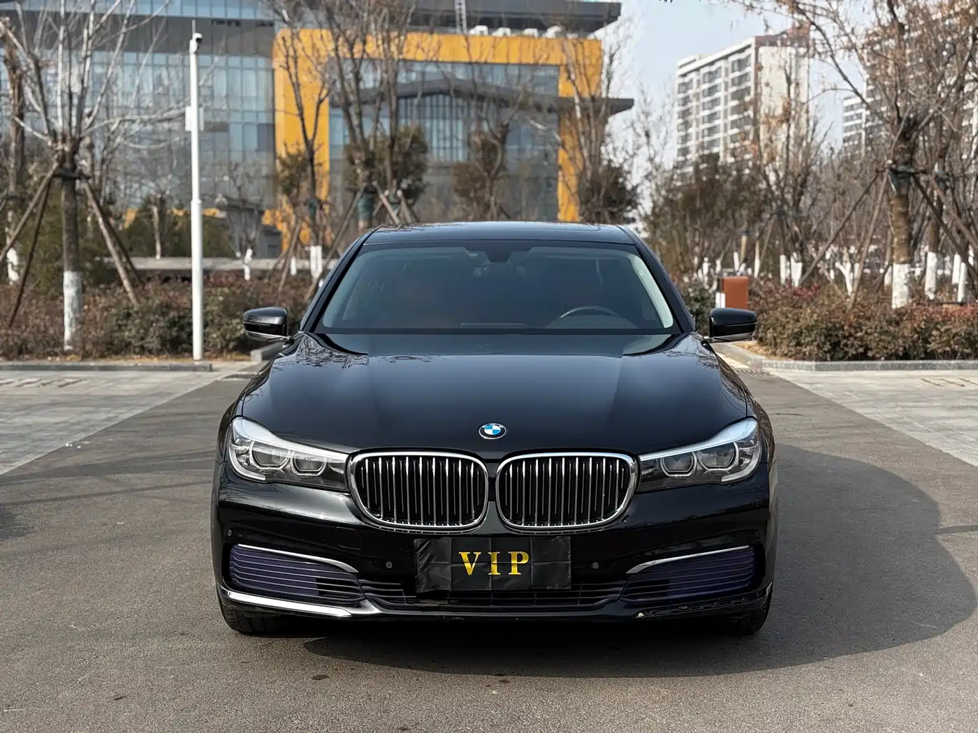 BMW 7 Series 2017 730Li Leading Edition фото 2