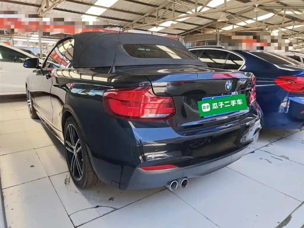 BMW 2 Series (Import) 2018 225i Convertible Coupe Premium M Sport Package фото 5