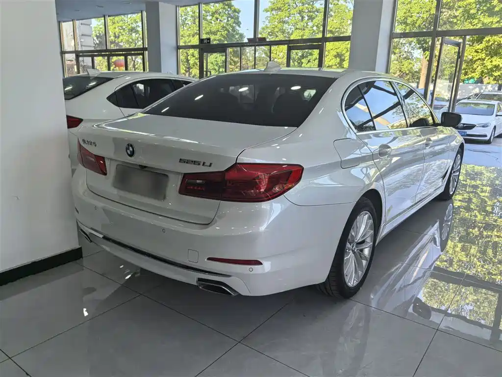 BMW 5 Series 2019 525Li Luxury Package фото 11