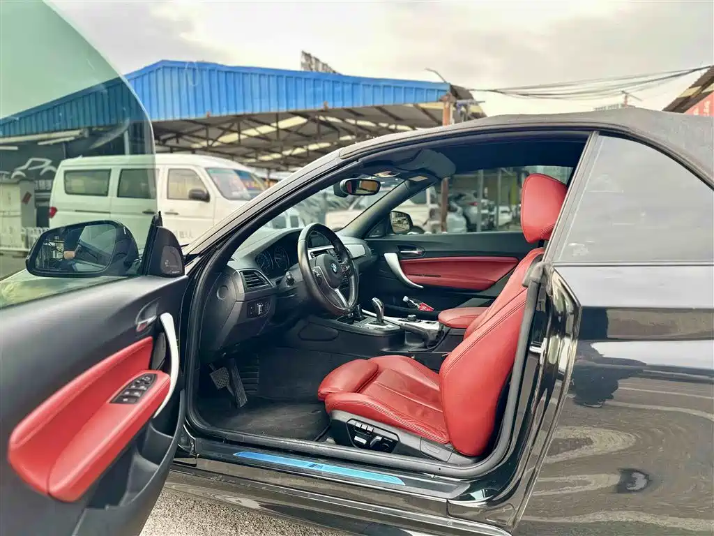 BMW 2 Series (Import) 2018 225i Convertible Coupe Premium M Sport Package фото 15