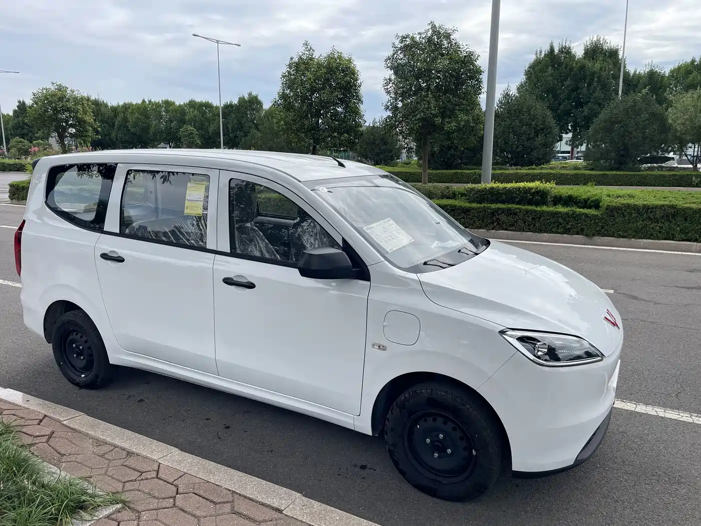 Wuling Motors Wuling Hongguang New Energy 2026 2024 Pure Electric 300KM Standard