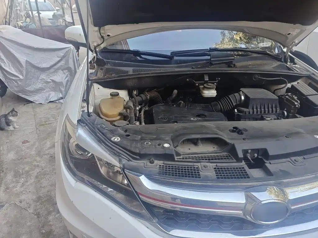 BYD S7 2019 2017 2.0T Automatic Luxury Model