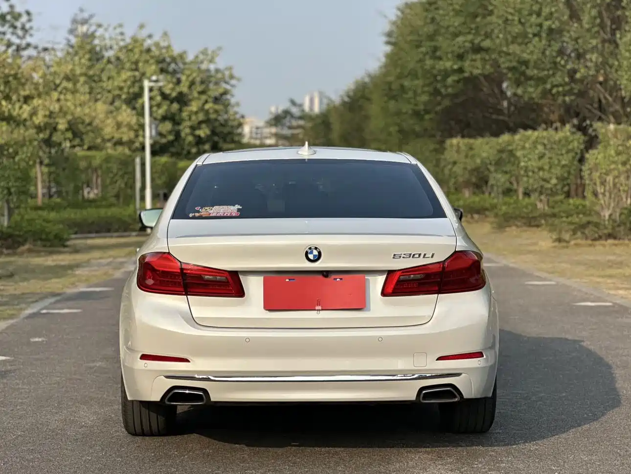 BMW 5 Series 2018 530Li Exclusive Luxury Package фото 7
